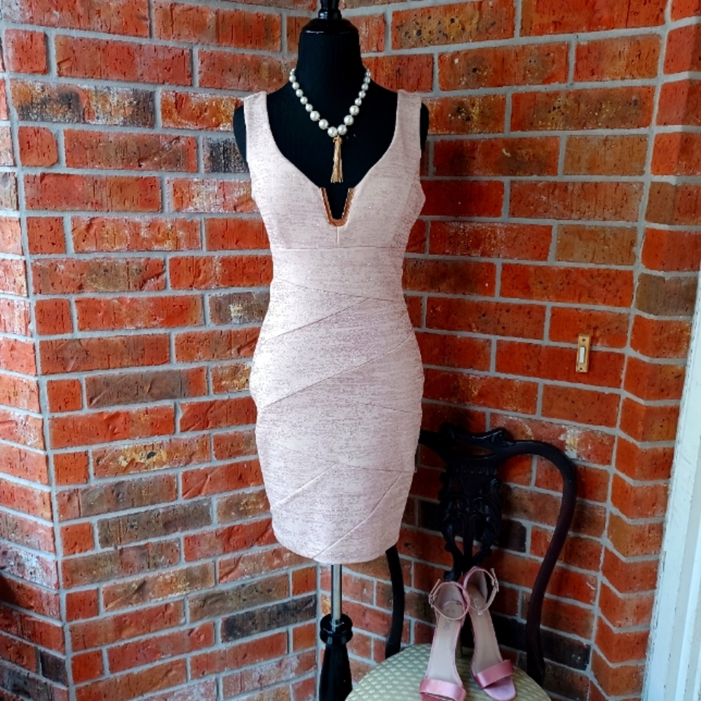 Shimmery rose dress